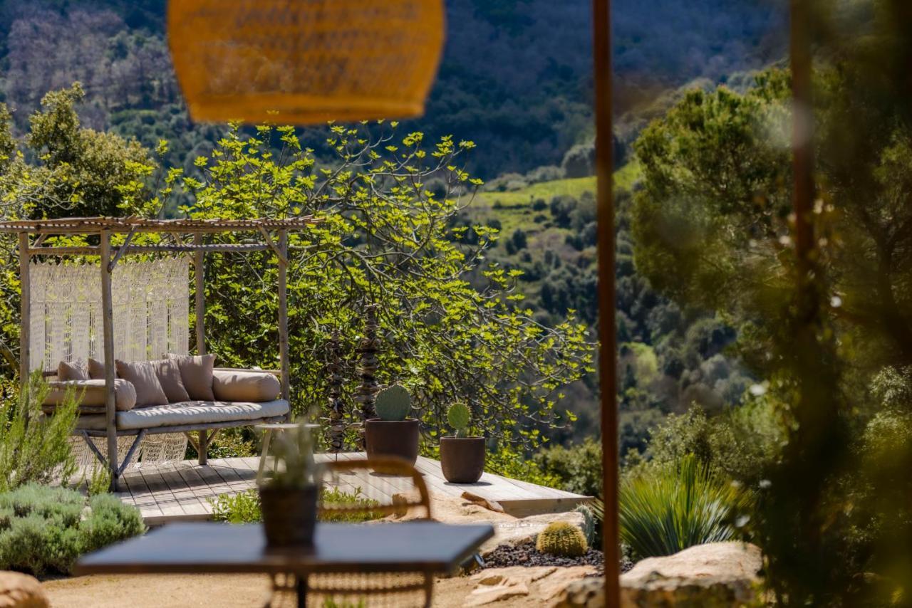 Terre De Maquis, Maison D'Hotes Vue Mer Corse Sari-D'orcino Exterior foto