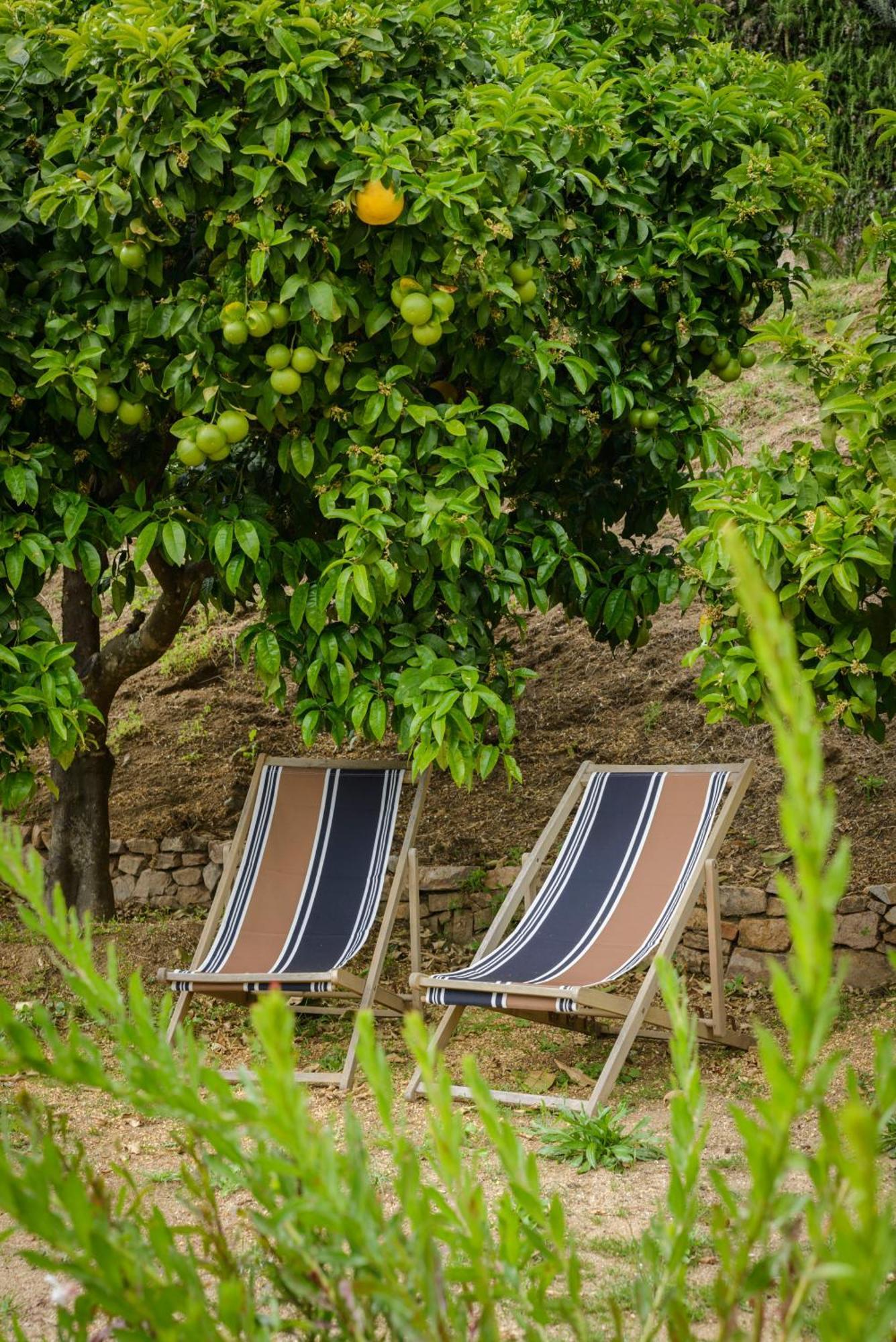 Terre De Maquis, Maison D'Hotes Vue Mer Corse Sari-D'orcino Exterior foto